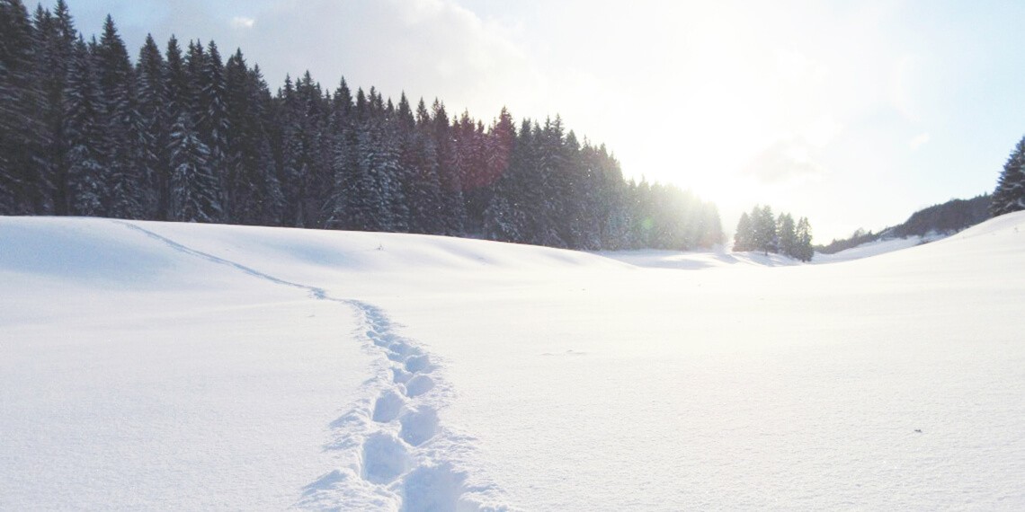 Boost hivernal : le Jura en raquettes